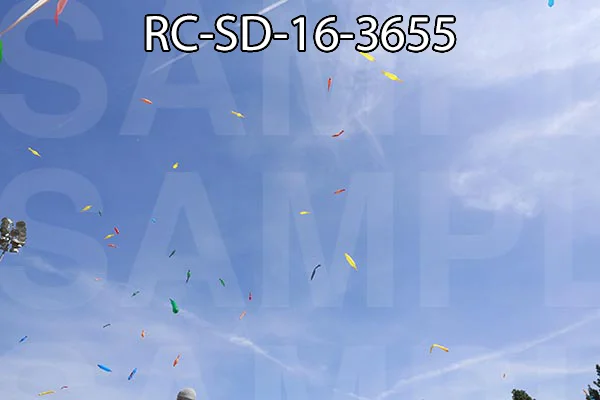 RC-SD-16-3655.jpg