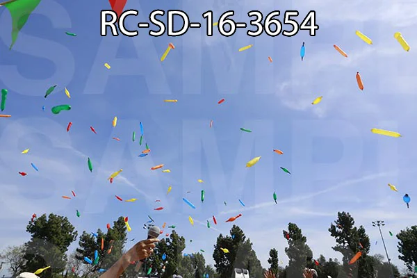 RC-SD-16-3654.jpg