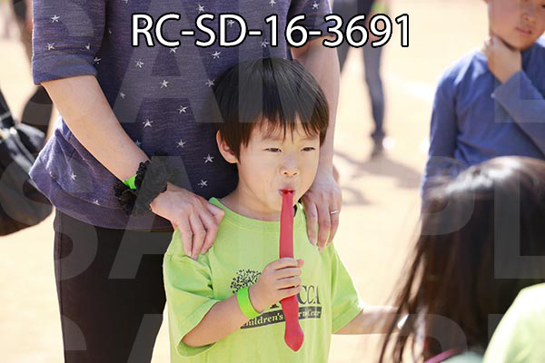 RC-SD-16-3691.jpg