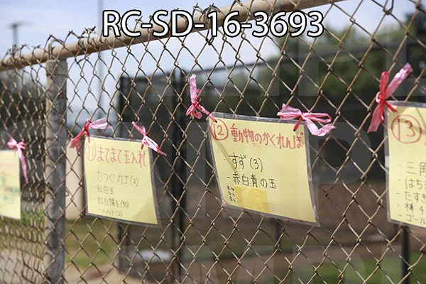 RC-SD-16-3693.jpg
