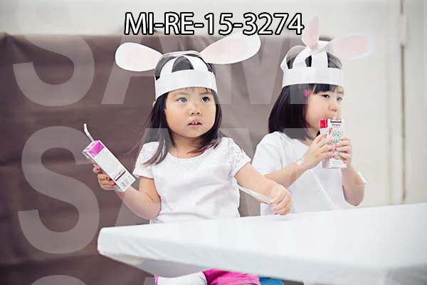 MI-RE-15-3274.jpg