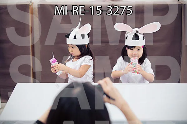 MI-RE-15-3275.jpg