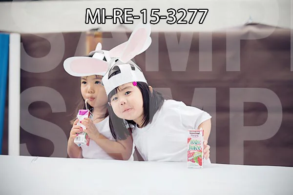 MI-RE-15-3277.jpg