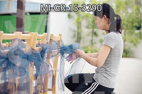 MI-GR-15-3290.jpg