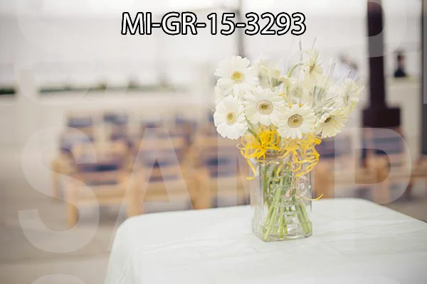 MI-GR-15-3293.jpg