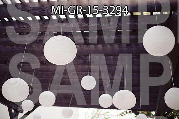 MI-GR-15-3294.jpg