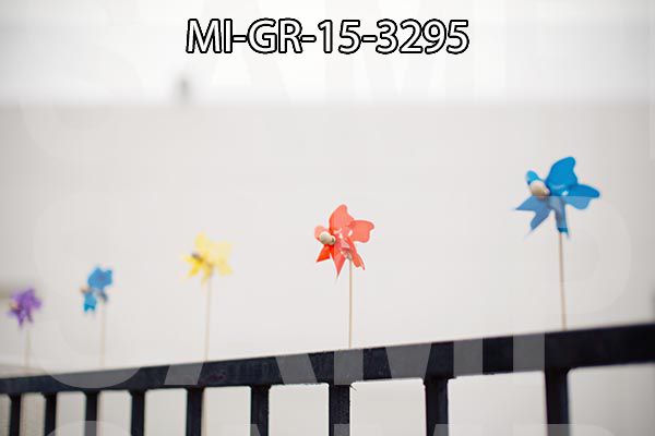 MI-GR-15-3295.jpg