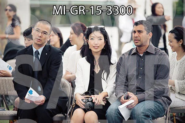 MI-GR-15-3300.jpg