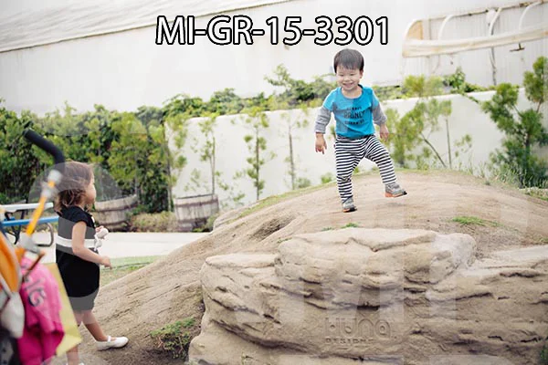 MI-GR-15-3301.jpg