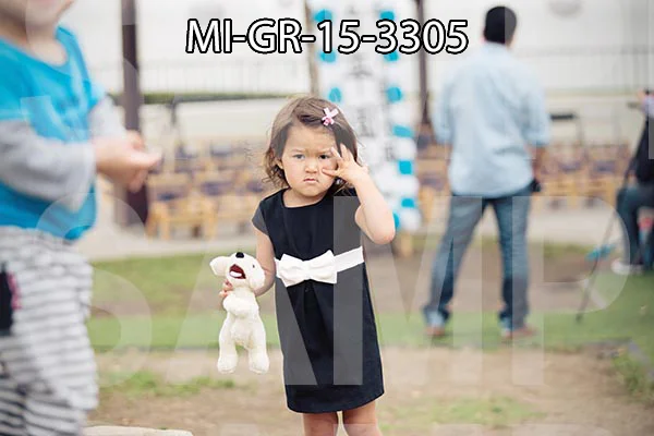 MI-GR-15-3305.jpg