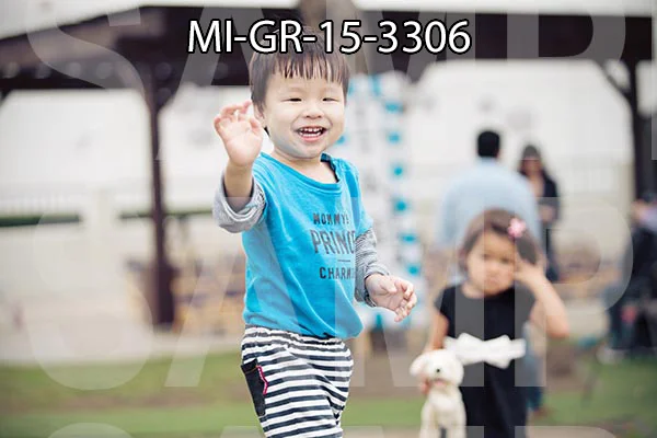 MI-GR-15-3306.jpg