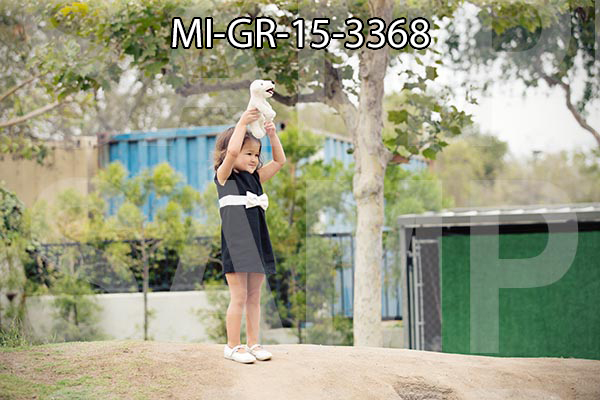 MI-GR-15-3368.jpg