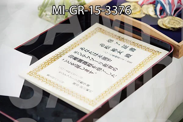 MI-GR-15-3376.jpg
