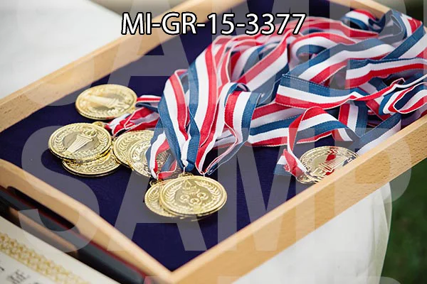 MI-GR-15-3377.jpg