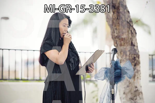 MI-GR-15-3381.jpg