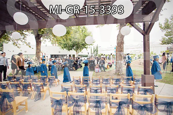 MI-GR-15-3393.jpg