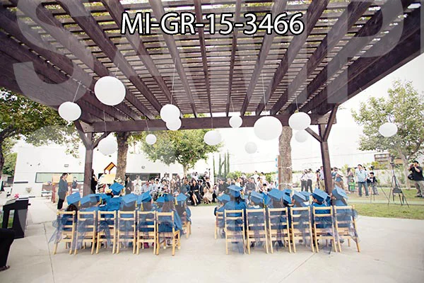 MI-GR-15-3466.jpg