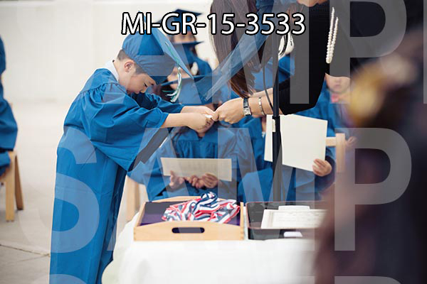 MI-GR-15-3533.jpg