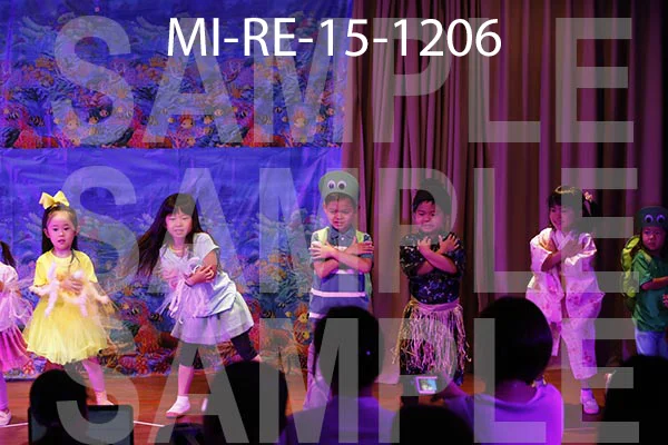 MI-RE-15-1206.jpg