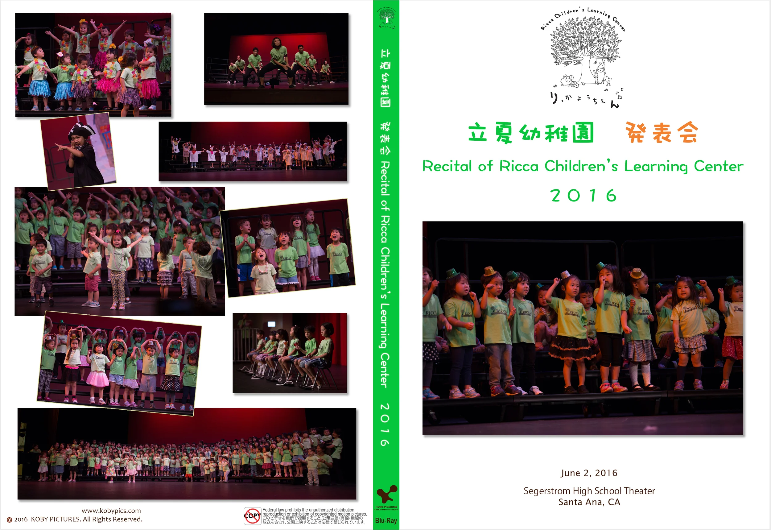 RiccaRecital2016case.jpg