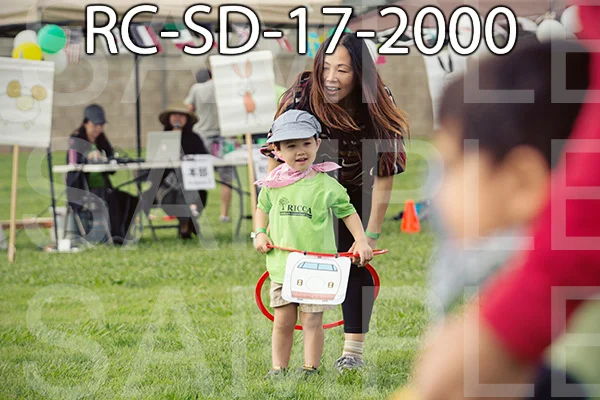 RC-SD-17-2000.jpg