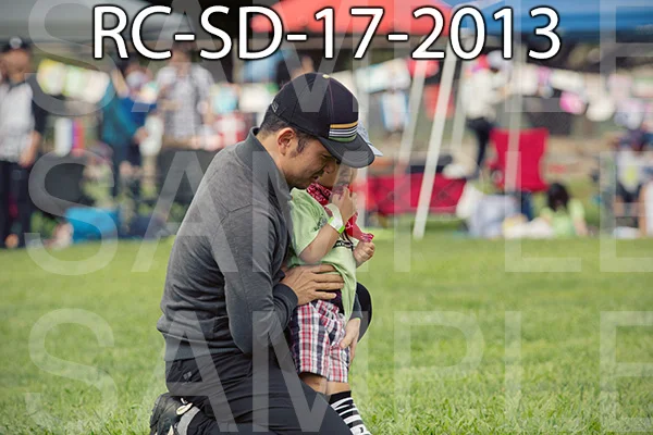 RC-SD-17-2013.jpg