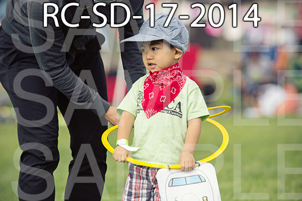 RC-SD-17-2014.jpg