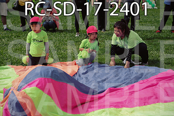 RC-SD-17-2401.jpg