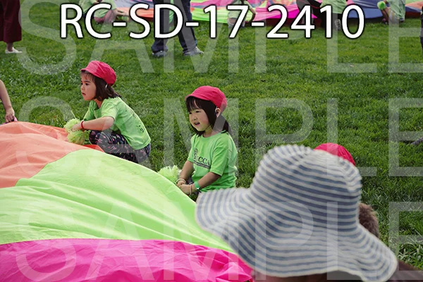 RC-SD-17-2410.jpg