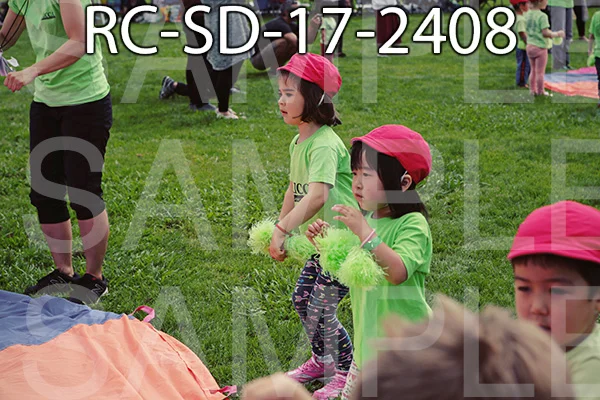 RC-SD-17-2408.jpg