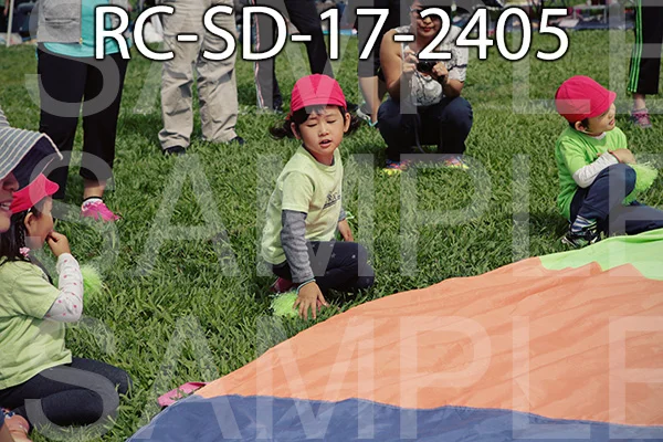 RC-SD-17-2405.jpg