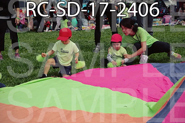 RC-SD-17-2406.jpg