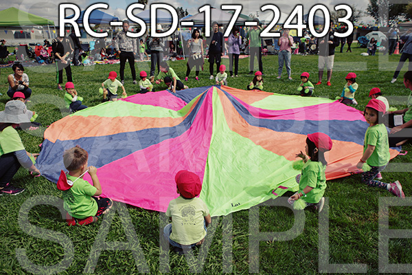 RC-SD-17-2403.jpg