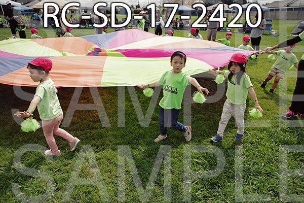RC-SD-17-2420.jpg
