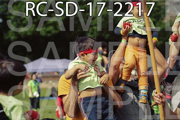 RC-SD-17-2217.jpg