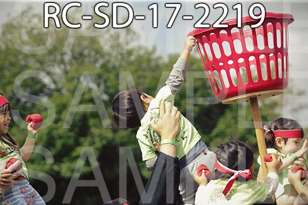 RC-SD-17-2219.jpg