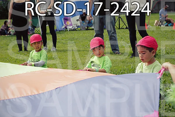 RC-SD-17-2424.jpg