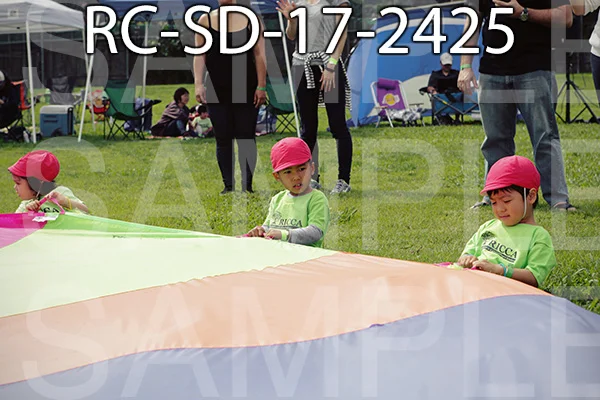 RC-SD-17-2425.jpg