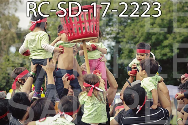 RC-SD-17-2223.jpg