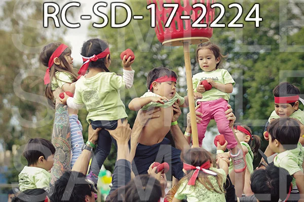 RC-SD-17-2224.jpg