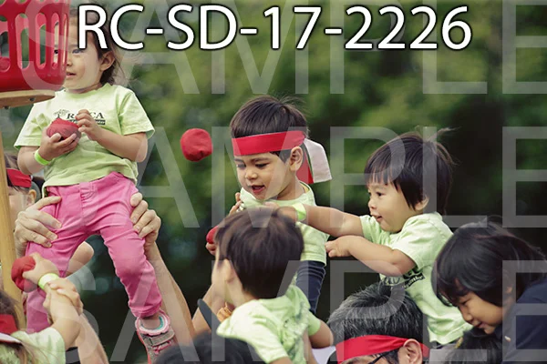 RC-SD-17-2226.jpg