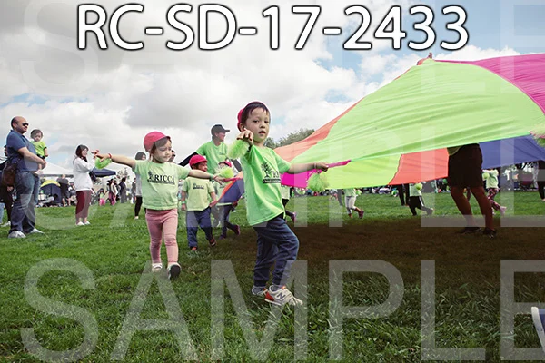 RC-SD-17-2433.jpg