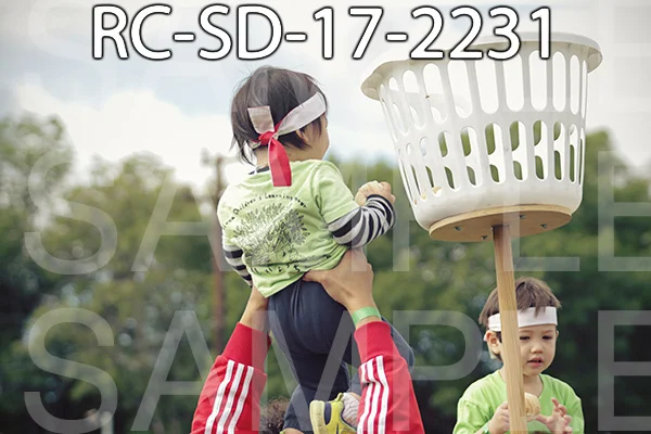 RC-SD-17-2231.jpg