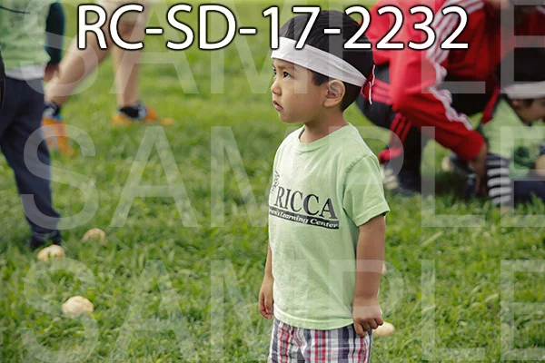 RC-SD-17-2232.jpg