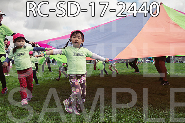 RC-SD-17-2440.jpg