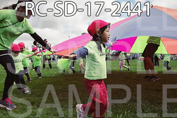 RC-SD-17-2441.jpg