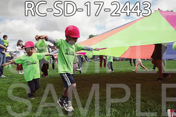 RC-SD-17-2443.jpg