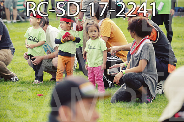 RC-SD-17-2241.jpg