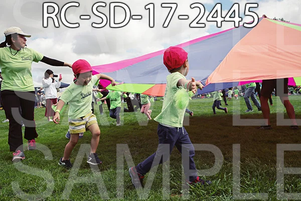RC-SD-17-2445.jpg