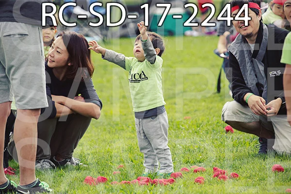 RC-SD-17-2244.jpg